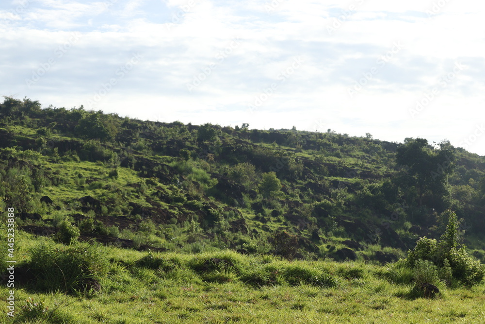 Naklejka premium green landscape