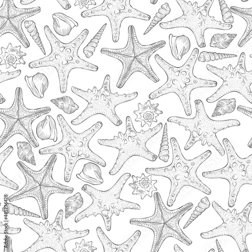 Marine seamless pattern from hand drawn sea shells and starfish. Nautical vector pattern in line art style isolated on white. Wallpaper  wrapping paper  textile design