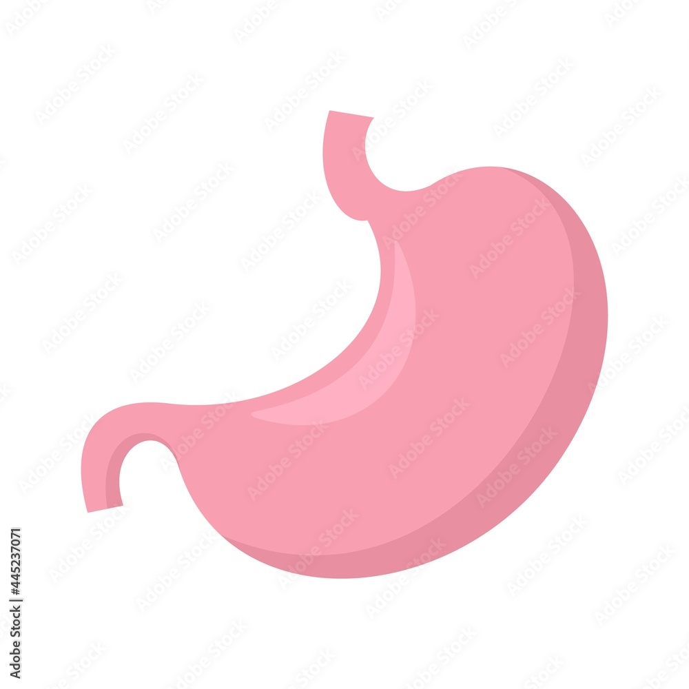 Internal stomach icon flat isolated vector Internal stomach icon flat isolated vector