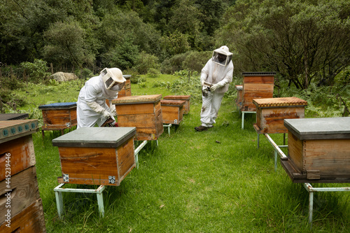 Beekeepers working with bees in forest