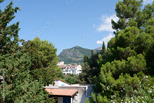 View of the mountain between the needles
