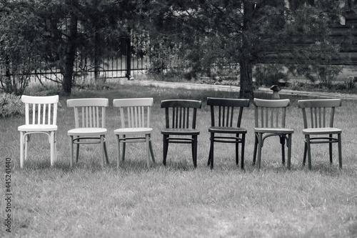 a black and white frame from a retro movie  a row of wooden Viennese chairs on the lawn in the backyard garden  a retro wedding ceremony. 