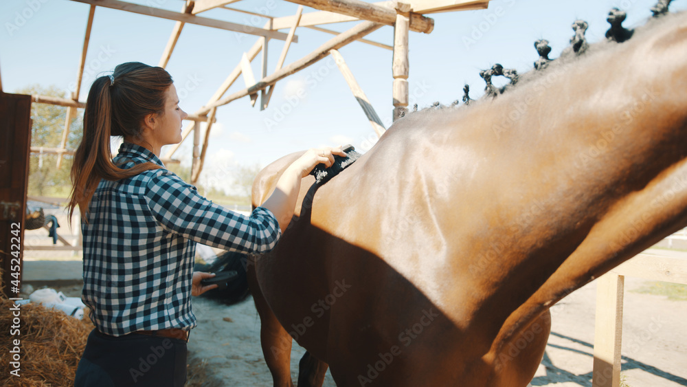 Female horse owner brushing off dust from her chestnut horseback