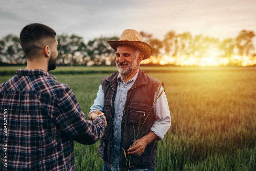 farmers handshake outdoor in field