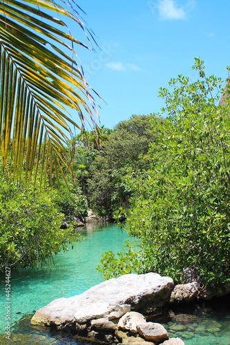 Wallpaper Mural River between beautiful rocks at Xcaret park. Xcaret is famous ecotourism park on the mexican Riviera Maya, Quintana Roo, Yucatan, Mexico. Torontodigital.ca