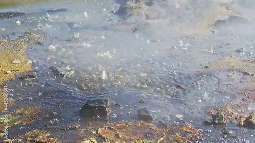Wonders of nature water boils and steam in Valley of geysers