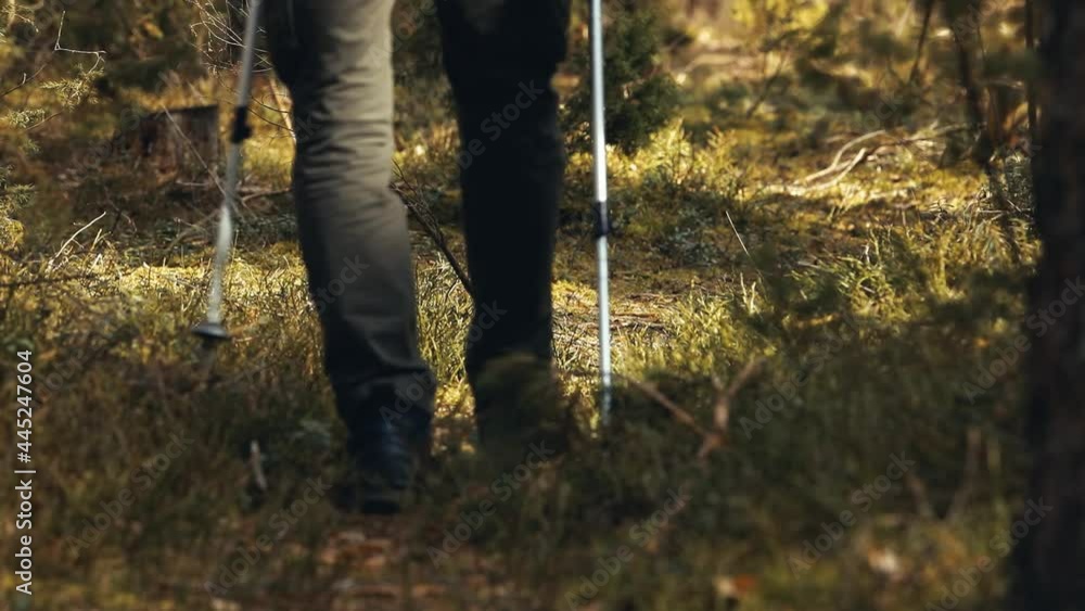 Man in trekking boots and green hiking pants walks along a path in a coniferous forest with Nordic walking sticks; walking away from the camera. Slow motion video of feet close up on sunny day Man in trekking boots and green hiking pants walks along a path in a coniferous forest with Nordic walking sticks; walking away from the camera. Slow motion video of feet close up on sunny day
