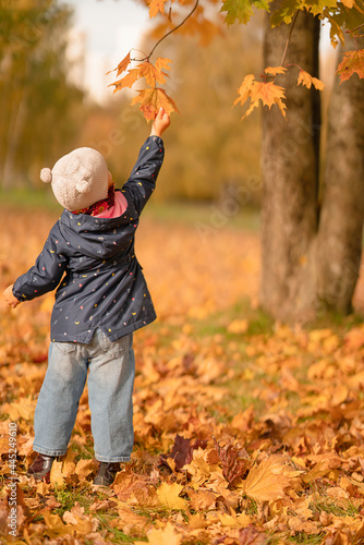 Baby reaches for a leaf on a tree in an autumn park 