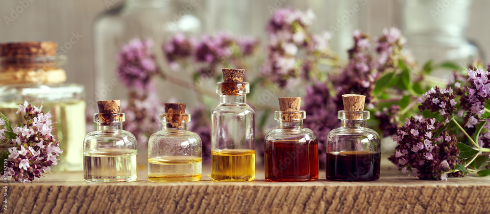 Panoramic header of essential oil bottles with blooming oregano plant. Aromatherapy or alternative medicine. - obrazy, fototapety, plakaty 