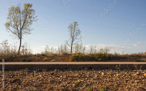 Cross sectional view of the asphalt  base layer  or firm with gravel and asphalt of a road at ground level   
