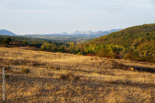 Beautiful rolling autumn landscape with forests and mountains in the background 