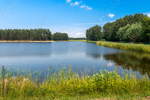View at the lake in Jacnia, Roztocze, Poland. Trees and beach in the background.