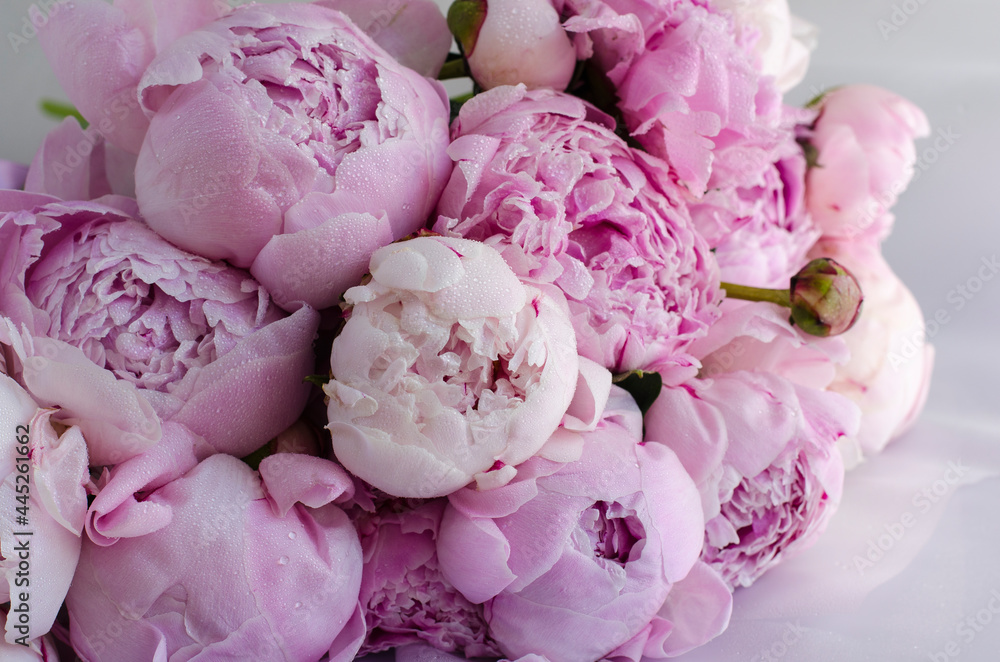 Fototapeta Bukiet różowych piwonii. W Chinach piwonia jest kwiatem cesarskim, symbolem szlachetności i bogactwa.