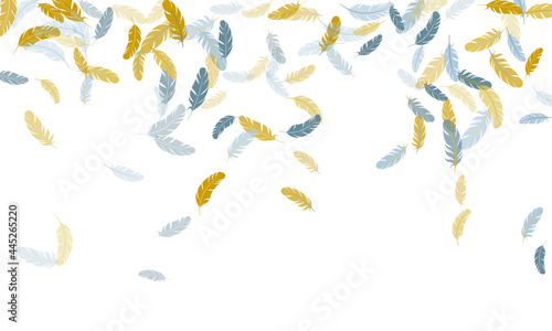 Detailed majestic feather on white design.