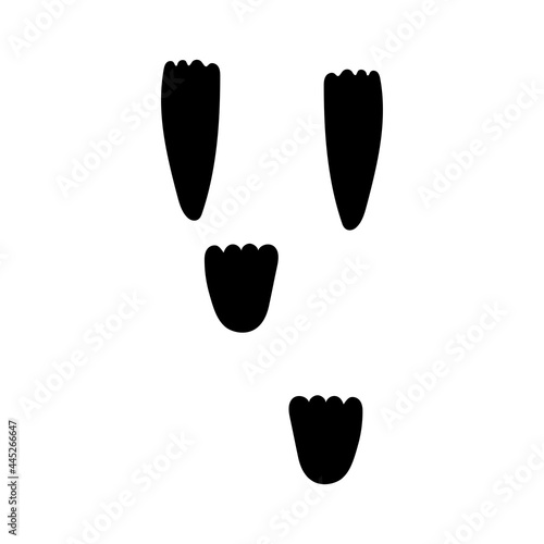 ウサギの足跡