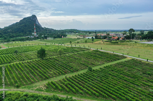 Castello Di Bellagio in Pattaya  Chonburi  Thailand