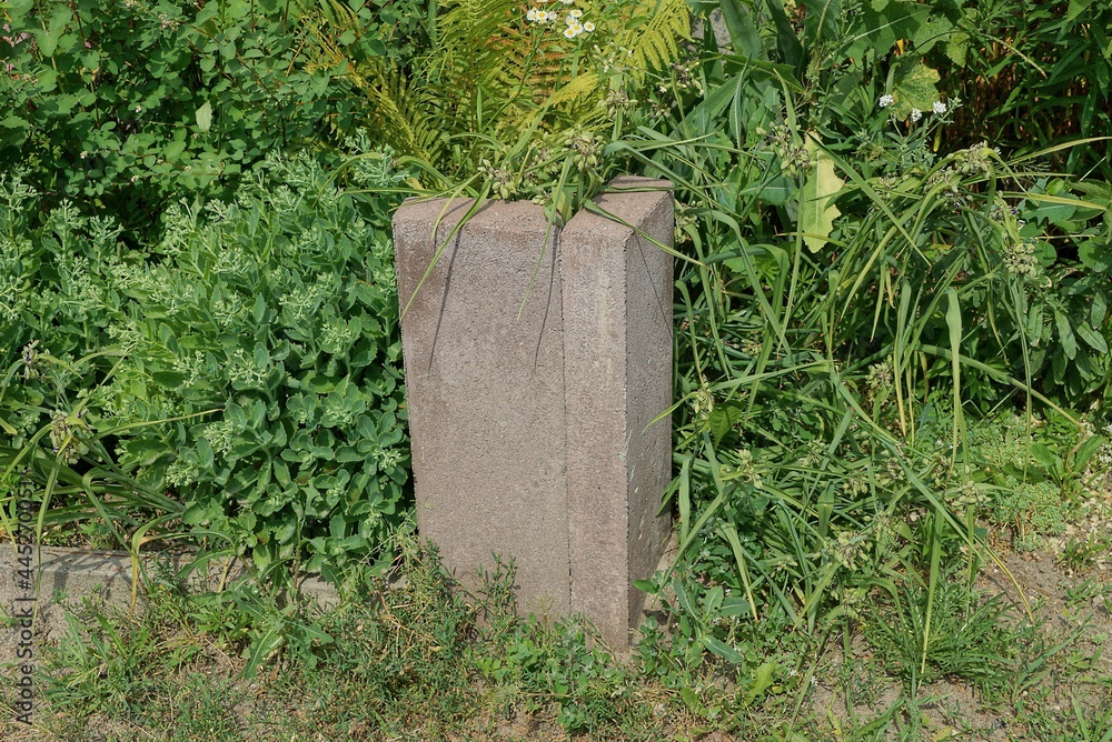 one brown concrete border post on the street overgrown with green vegetation and grass one brown concrete border post on the street overgrown with green vegetation and grass
