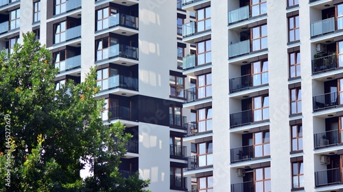 Eco architecture. Green tree and apartment building. The harmony of nature and modernity.