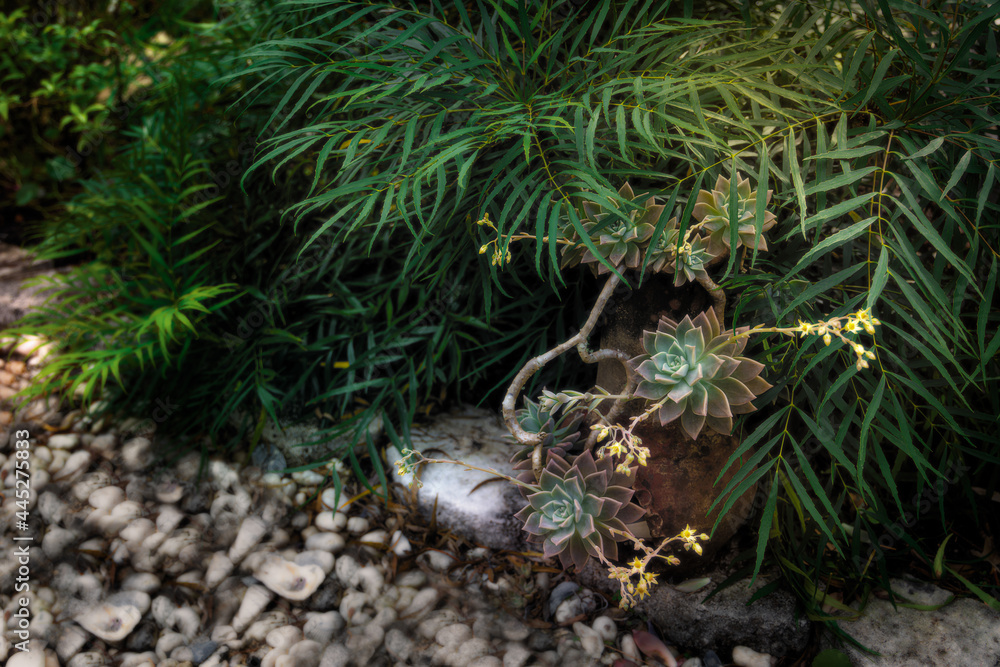 Soft Succulent Pairing