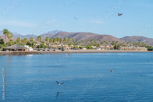A view of the bay of Loreto with palm trees and mountains in the sunrise, and seagulls flying on the sea of Cortes, MEXICO