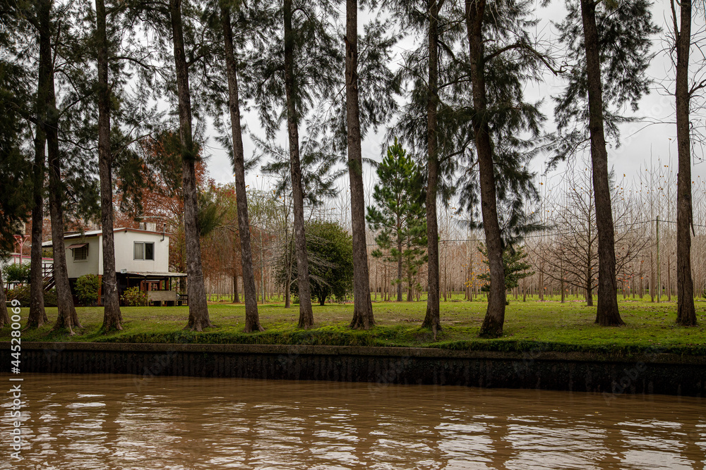 Obraz premium Delta del Paraná, Tigre, provincia de Buenos Aires, Argentina.