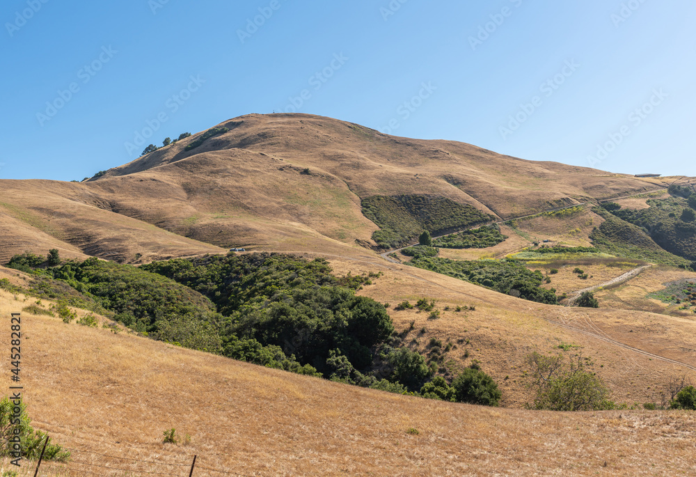 Cambria, CA, USA - June 9, 2021: Back country hills used for ranching under blue sky. Dry grass with patches of green trees.