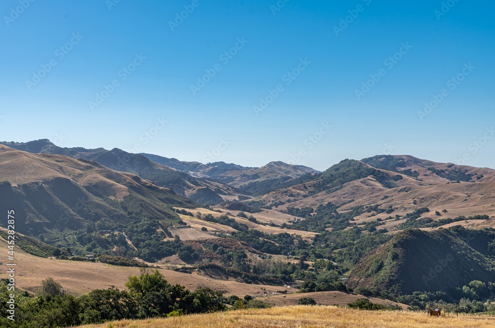 Cambria, CA, USA - June 9, 2021: Morning light on Back country hills used for ranching under blue sky. Dry grass with patches of green trees. Mountainous region.