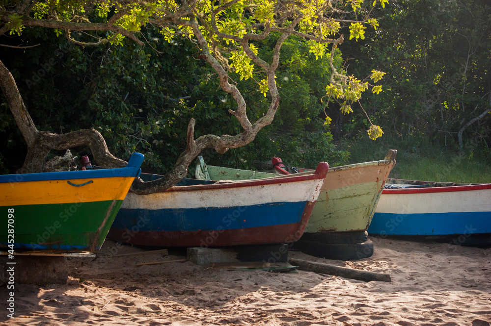 four wooden boats on the beach