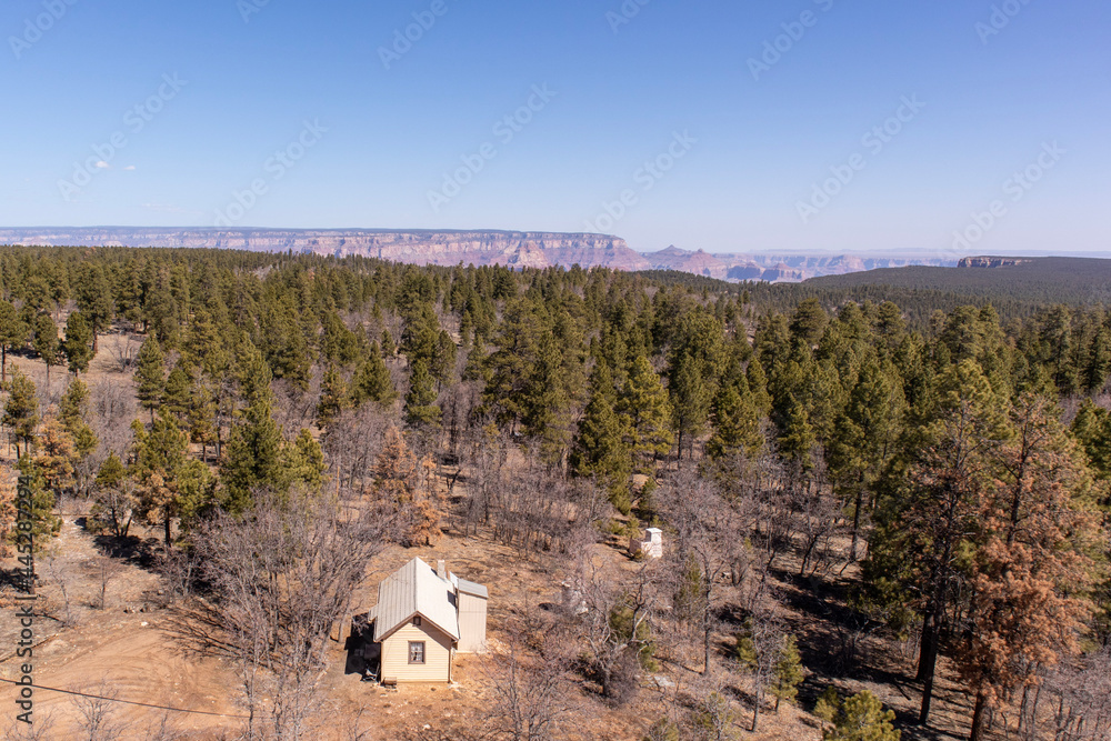 View of Grand Canyon South Rim from Grandview Lookout Tower in Kaibab National Forest