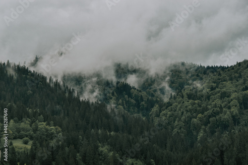 Foggy Landscape in Ceahlau National Park photo