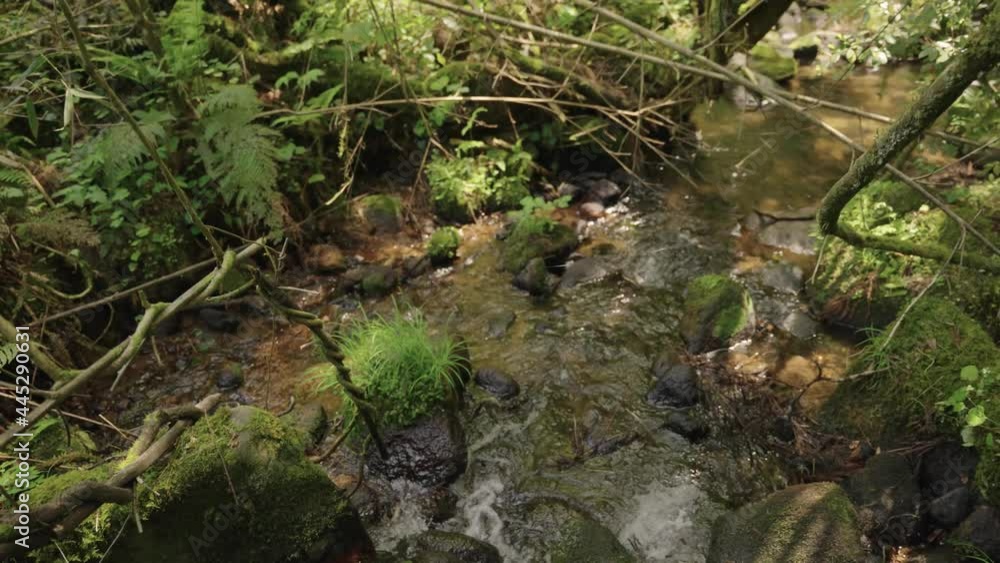 Nawa River Basin in Daisen, Tottori Japan. Slow Tilt Up Shot Nawa River Basin in Daisen, Tottori Japan. Slow Tilt Up Shot