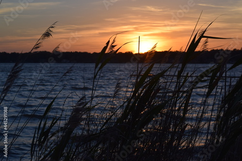 sunset over the lake with grass