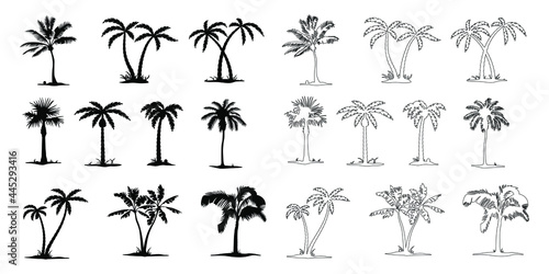 Palm tree vector png isolated on white background. palm tree editable eps 10.