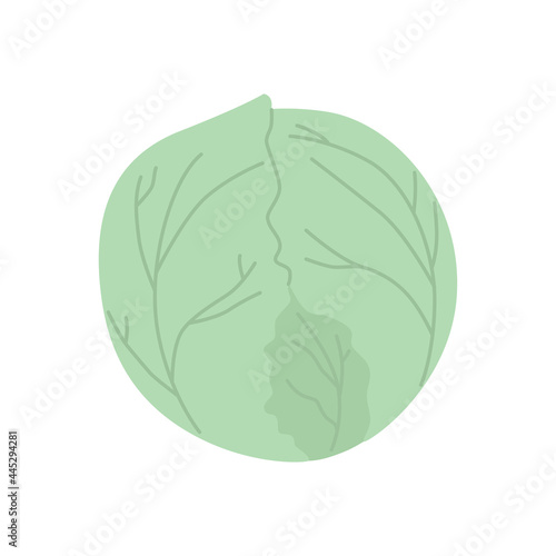 Cute cabbage isolated on white. Vegetable Ingredient for food.