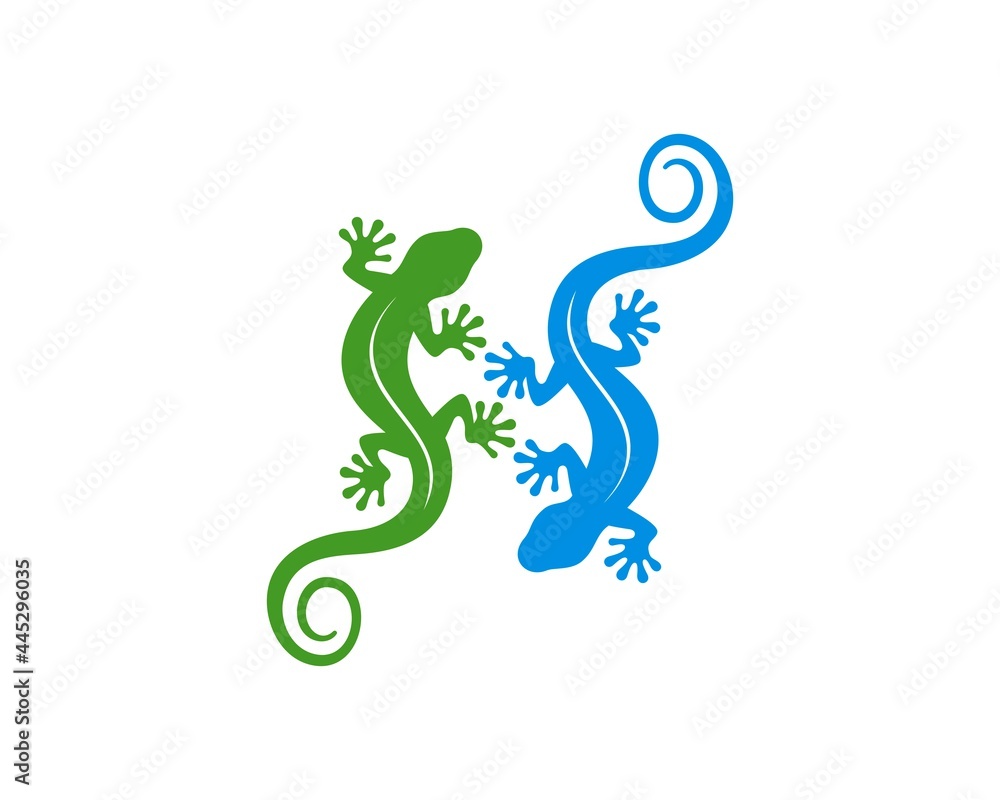 Fototapeta premium Twin lizard with green and blue colors