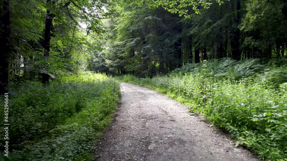 4K drone flying slowly over a track through the woods. 4K drone flying slowly over a track through the woods.