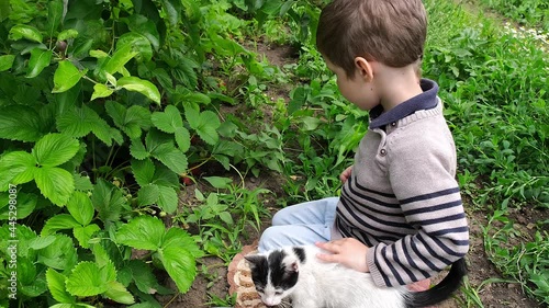 Cute kid playing with short hair kitten. Small fluffy kitty. Happy boy hugging his cat. Child with an animal. Funny child playing with cat kitten. Child bonding with baby cat. Kid and kitten.