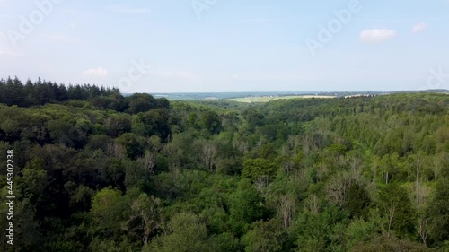 4K drone descending into a woodland area in England. photo