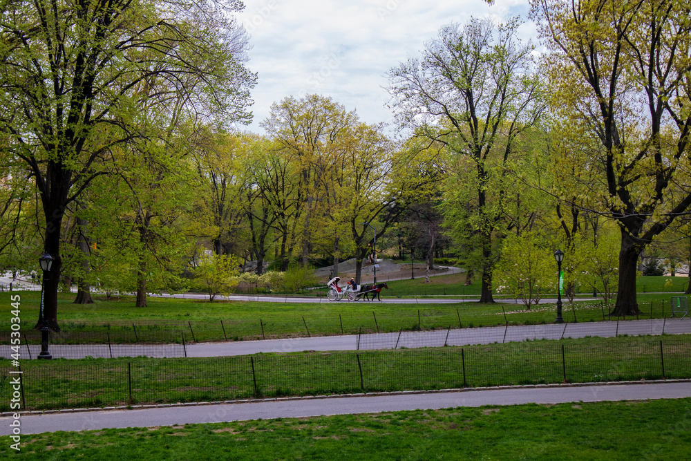 Park in the city; Central Park