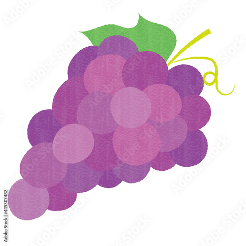 Cute hand-drawn grape vector art 手描き風のかわいいブドウ