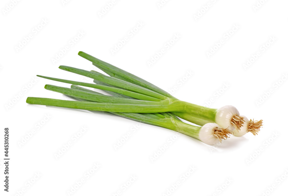 Obraz premium Green onion isolated on the white background