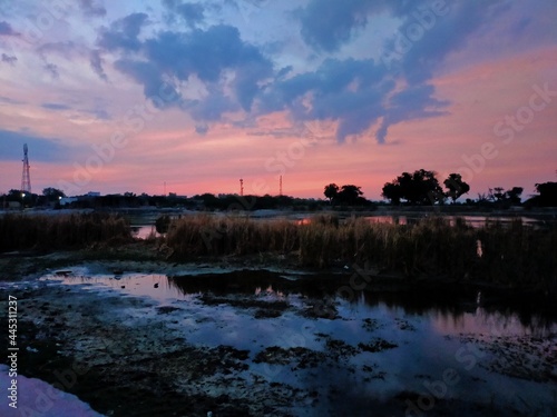 sunrise over the pond