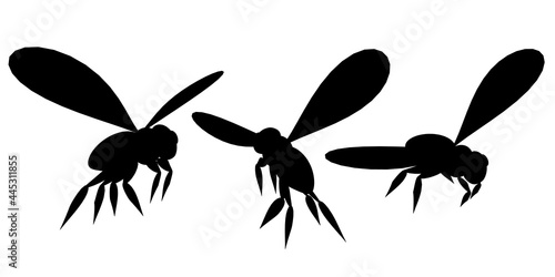 Set with silhouettes of bees in different positions isolated on white background. Vector illustration