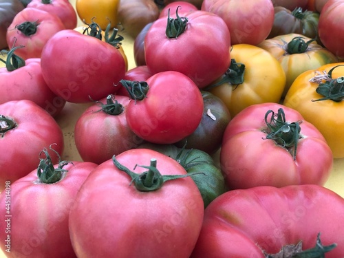 Beautiful tomatoes in summer, Colorado.