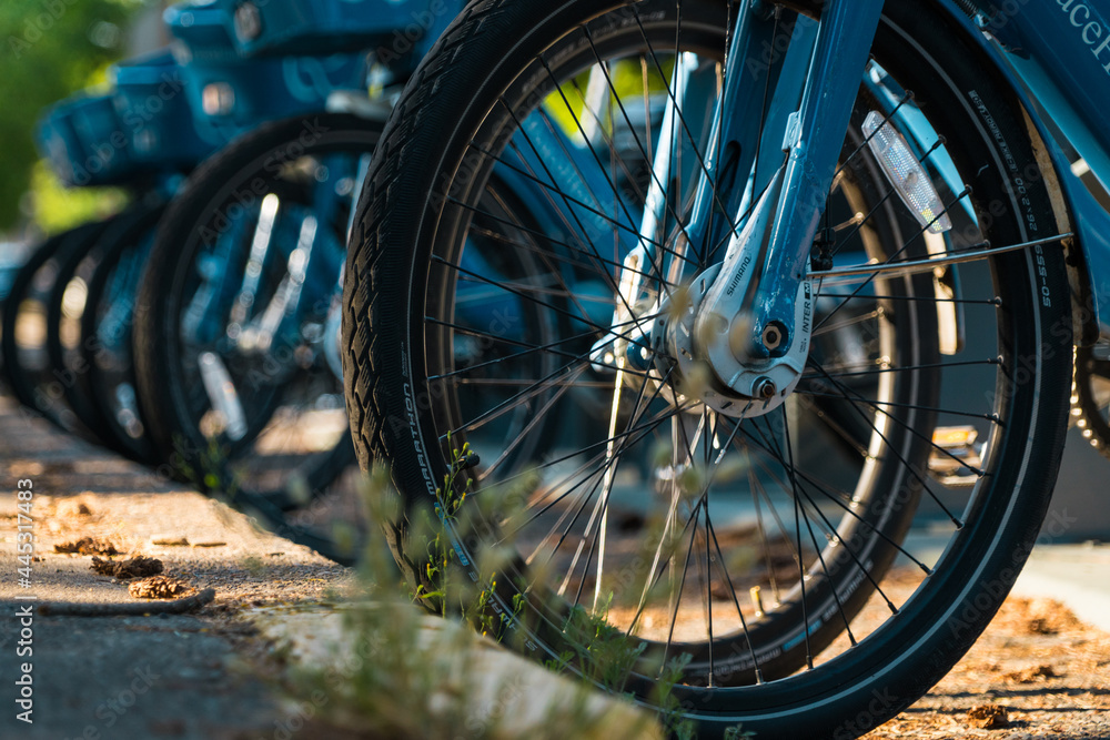 Rental bikes lined up