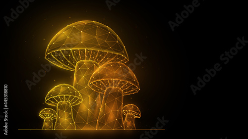 Polygonal vector illustration of mushrooms on a black background. Mushroom glade low poly design. Mushroom family concept art.