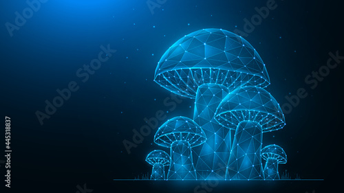 Polygonal vector illustration of Mushrooms on a dark blue background. Mushroom glade low poly design. Mushroom family concept art.