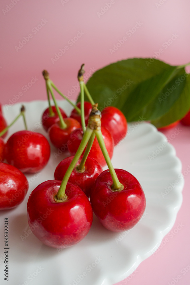 cherries with cherry leaf isolated on a pink background. cherries with cherry leaf isolated on a pink background.