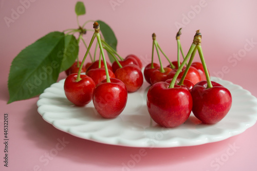 cherries with cherry leaf isolated on a pink background.
