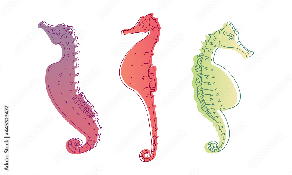 Stylized Sea Horses with Bony Armour and Curled Prehensile Tail Vector Set Stylized Sea Horses with Bony Armour and Curled Prehensile Tail Vector Set